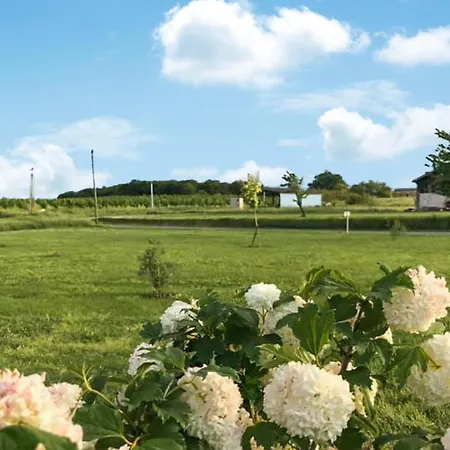 Holiday home Cozy In With Jacuzzi Savignac-sur-Leyze
